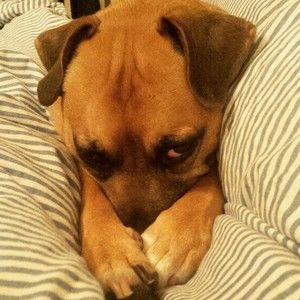 Meet your Posher, Tamara